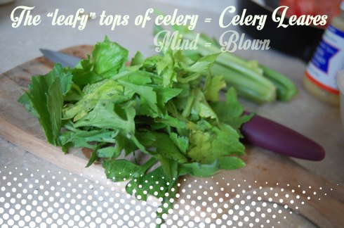 CeleryLeaves